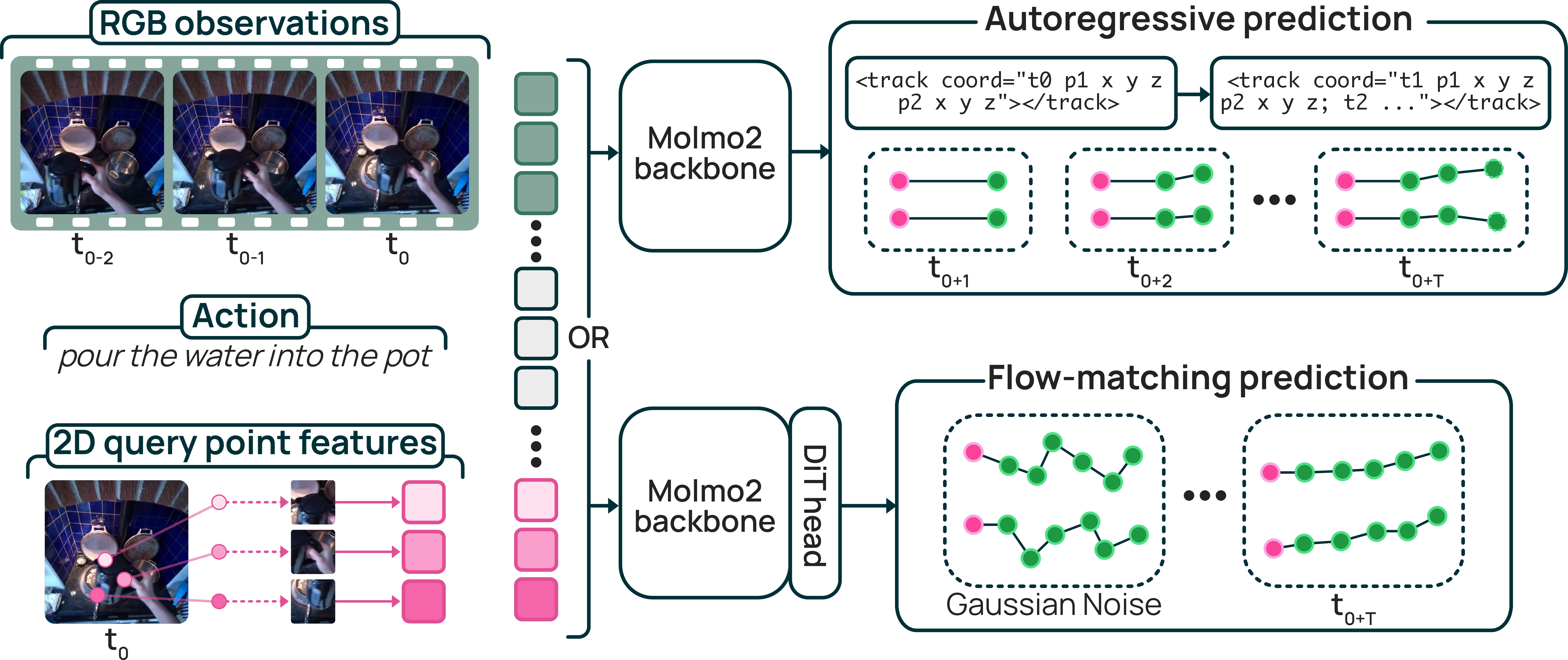 MolmoMotion architecture
